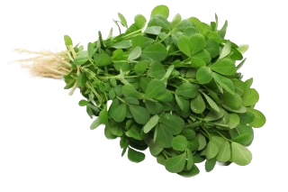 METHI - 250g