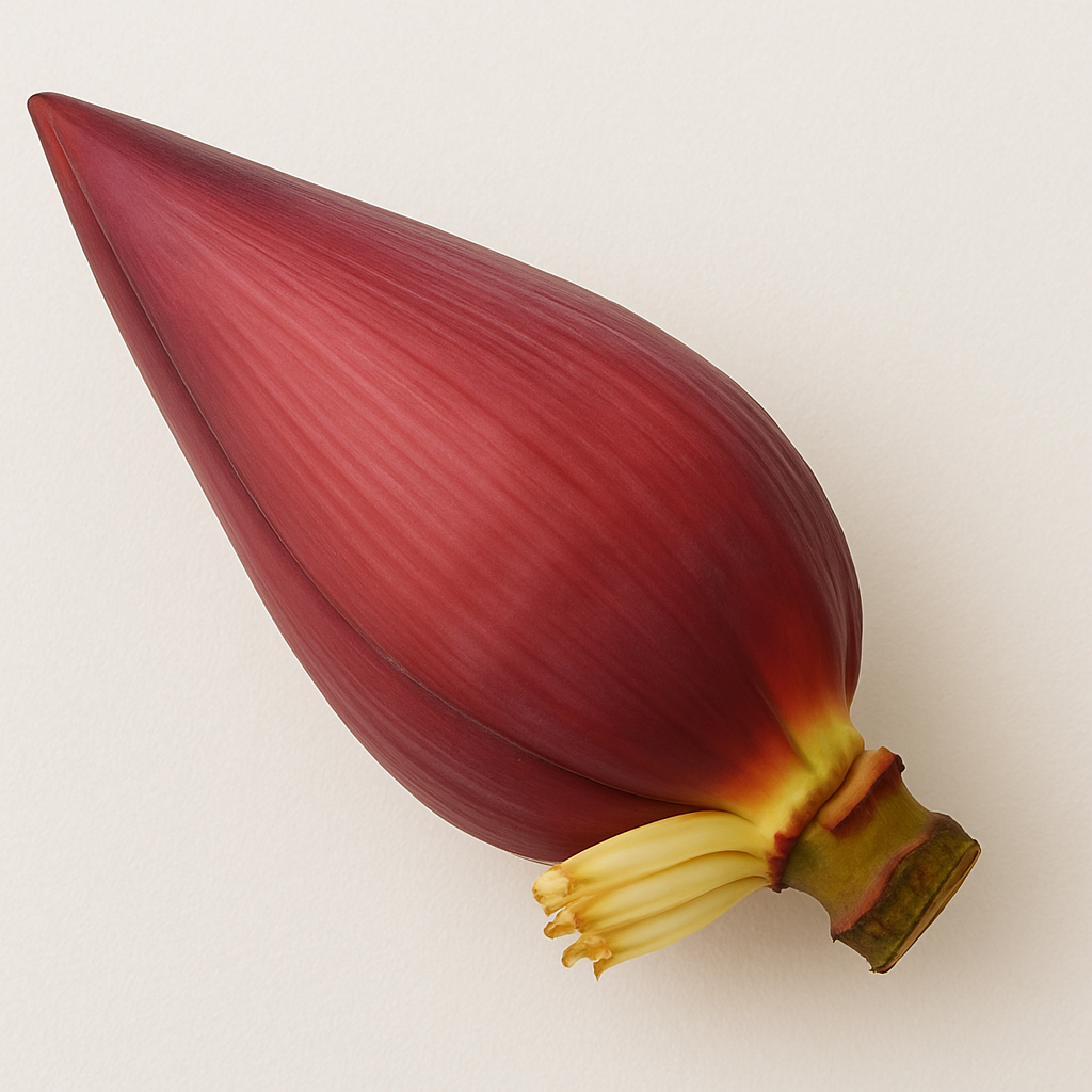 BANANA FLOWER -1PC