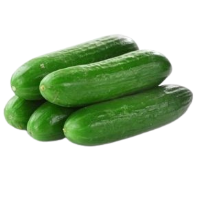 CUCUMBER HILTON 300-350g(2pc)