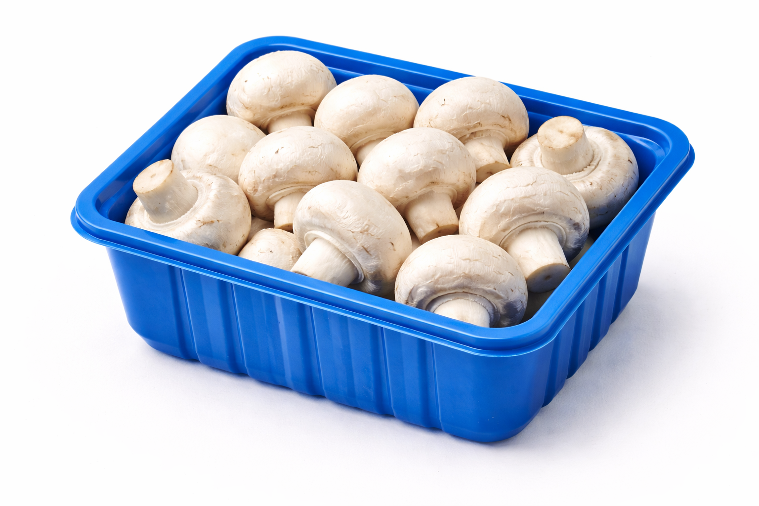 MUSHROOM - 1pkt(200g)
