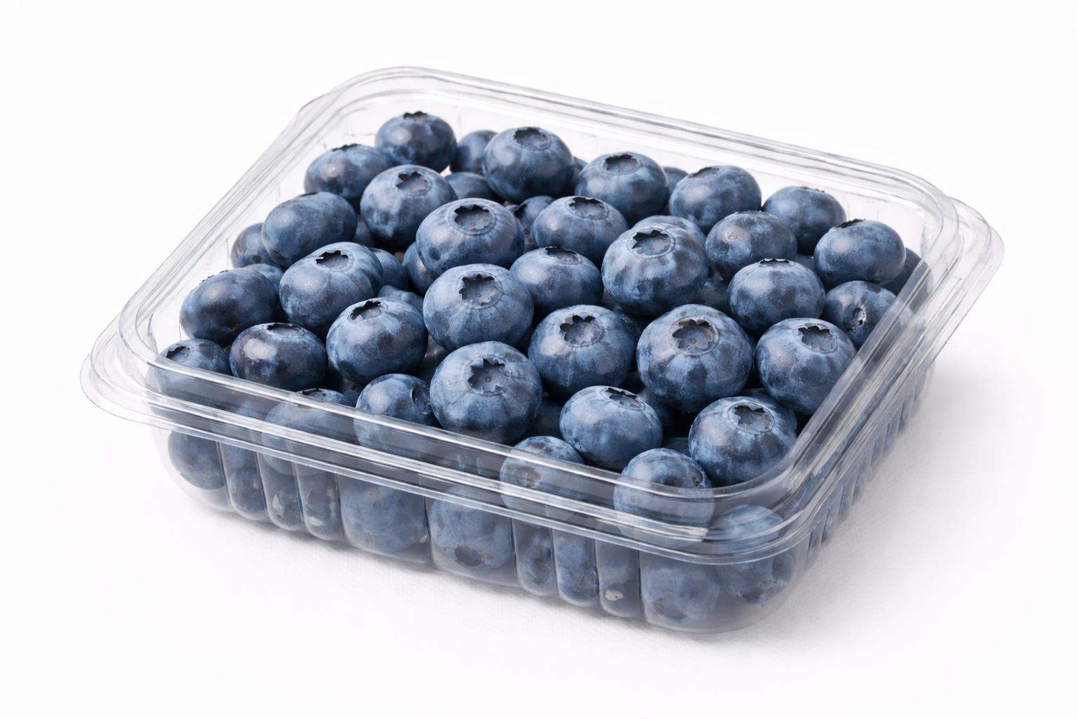 BLUEBERRY- 1PKT