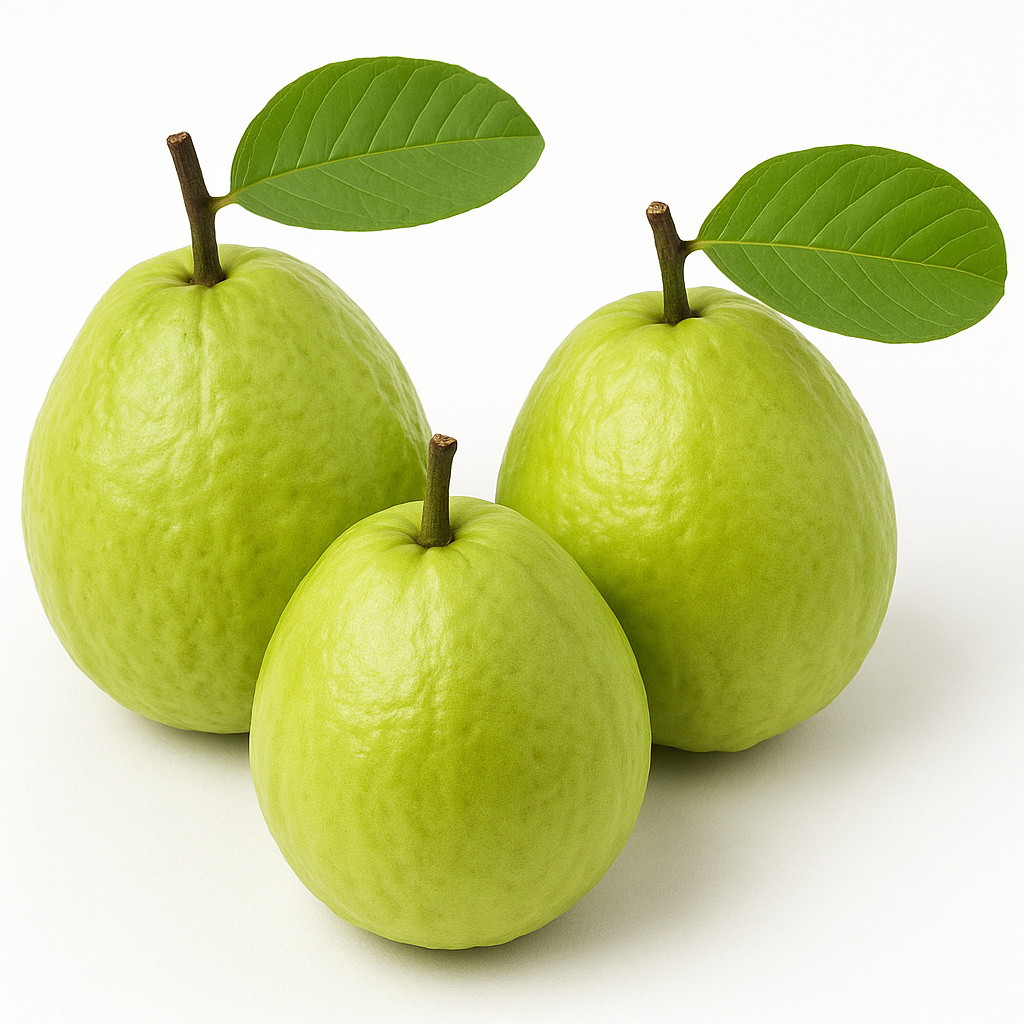 GUAVA RUDRAPUR  450-500g(2pc)