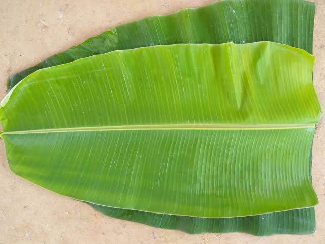 BANANA LEAF 1PC