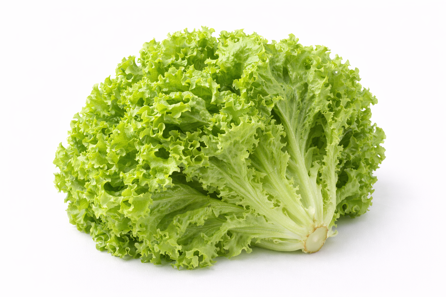 GREEN SALAD A GRADE 250-300 GM